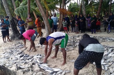 ބުރުންޏަށް 7000 ރާގޮނޑި، ލައްކައެއްހާ ރުފިޔާގެ އާމްދަނީއެއް!