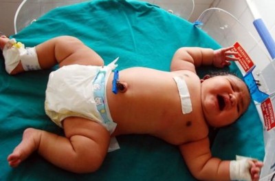 ވިހޭ އިރު މި ކުއްޖާގެ ބަރުދަނަކީ މުޅި އިންޑިއާގެ ވެސް ރެކޯޑެއް