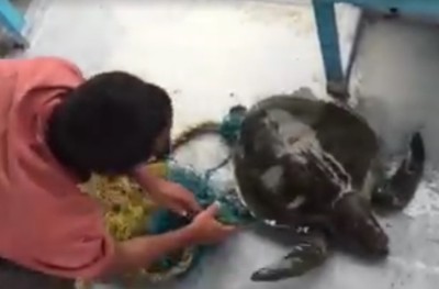 އަނެއްކާވެސް ވެލައެއް ސަލާމަތްކުރާ ހިތްގައިމު މަންޒަރެއް