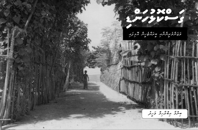 މިހާރު 30: ގަސްކޮޅު ހަންޑި