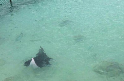 ފުނަދޫ ބަޔަކު އެންމަޑިއެއް ގެންގުޅުނު މައްސަލަ ހޫނުވެއްޖެ