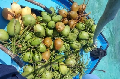 ކުރުނބާ އެޅުމުން ހައްޔަރު: ކީއްވެ؟