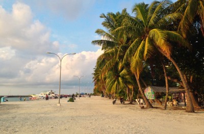 މުސާރަ ނުހިނގާ ގޮތަށް މާފުށީ ކައުންސިލްގެ ރައީސް ދެ މަހަށް ސަސްޕެންޑްކޮށްފި