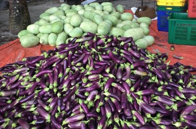 ގަމީރާ އަށް މި ފަހަރު ރޯދަ އަށް ތައްޔާރެއް ނުވެވުނު