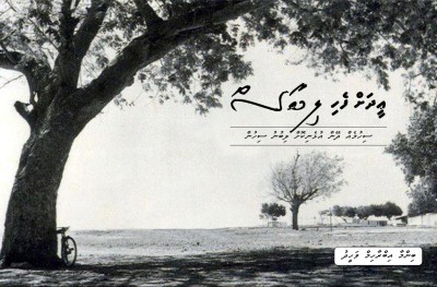 ޢީދަށް ފެހި ލިބާސް