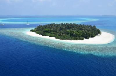 ކުޑަ ބަނޑޮސް ރިސޯޓް ހުޅުވައިފި