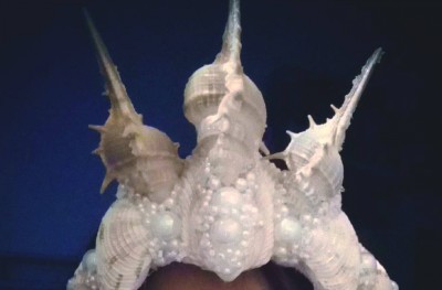 ދިވެހިންގެ މާމެއިޑް ކްރައުން