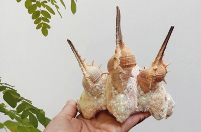 ދިވެހިންގެ މާމެއިޑް ކްރައުން