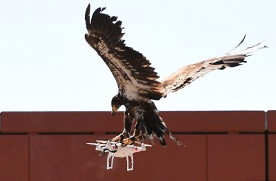 ޑްރޯންތައް ހުއްޓުވަން ނެދަލެންޑްސް ފުލުހުން ބާޒުގެ ލަޝްކަރެއް ނެރެފި