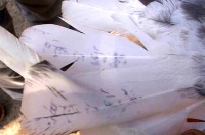 ޕާކިސްތާނުގެ "ޖާސޫސީ ކޮތަރެއް" އިންޑިއާ އިން ހިފައިފި