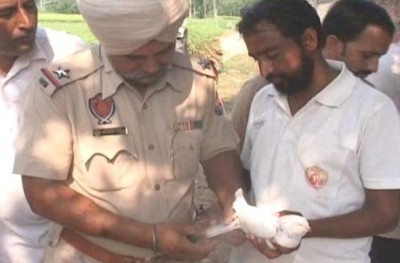 ޕާކިސްތާނުގެ "ޖާސޫސީ ކޮތަރެއް" އިންޑިއާ އިން ހިފައިފި