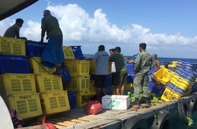 ގިނަ އަދަދެއްގެ މުދަލާ އެކު ދޯންޏެއް ފަރަށް އަރައިފި