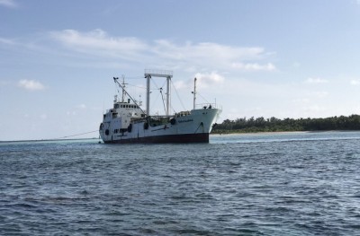 110 ޓަނުގެ މަހާއެކު މިފްކޯގެ ބޯޓެއް ފަރަށް އަރައިފި