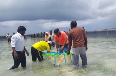 ހުއިފިލަނޑާ އާލާކުރުމަށް ދޫކުރާ ލޯނުގެ ދެވަނަ ބުރު ފަށައިފި