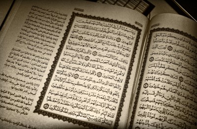 ކޮލަމް ކޯދު: ބަޤަރާ ސޫރަތުގެ މައްޗަށް ބަލައިލުމެއް 3