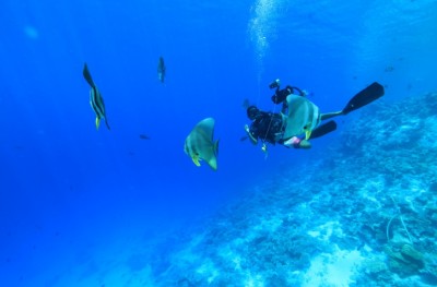 ފީނައިގެން ހުރިހާ އެއްޗެއް ހޯދި އަންހެން ޑައިވަރު