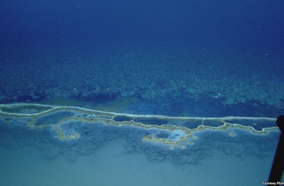 ކަނޑުގެ އަޑީގައި އޮންނަ ކޯރެއް ފެނިއްޖެ