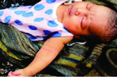 އެއްލާލާފައި އޮތް ކުއްޖަކު ހަތަރު ކުއްތާގެ މަސައްކަތުން ސަލާމަތްކޮށްފި