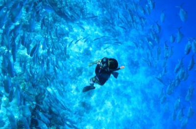 ފީނައިގެން ހުރިހާ އެއްޗެއް ހޯދި އަންހެން ޑައިވަރު