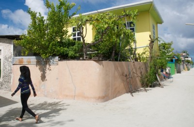 ހުރާގައި ކުޑަ ކުއްޖެއްގެ ގަޔަށް ޓްރަކެއް އަރައި، ލިވާ ފެޅި އޮޕަރޭޝަން ކުރަނީ