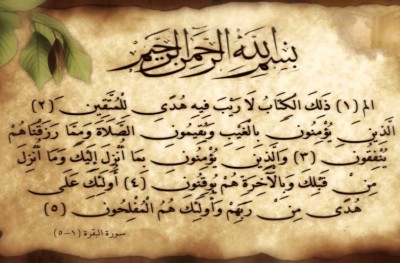 ކޮލަމް ކޯދު: ބަޤަރާ ސޫރަތުގެ މައްޗަށް ބަލައިލުމެއް 8
