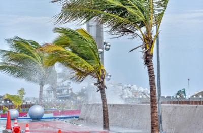 މިއީ ދެ މޫސުން ބެދޭތީ ކުރާ ވިއްސާރަ: މެޓް