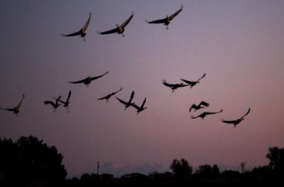 ޒުލެއްގެ ހުރިހާ ދޫންޏެއް ގަނެ ދޫކޮށްލައިފި