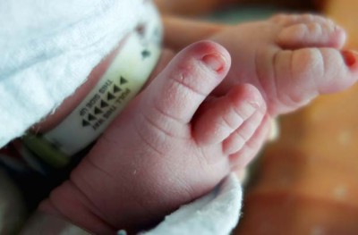 މާމައަކު އެންމެ ދުވަސް ވީ ސަރަގޭޓް މަންމައަށް ވެއްޖެ