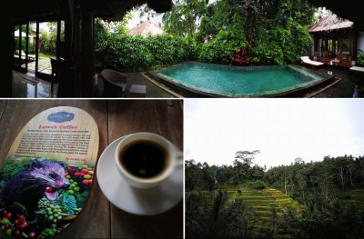 މި ދިވެހިންގެ ޗުއްޓީ މުޅިން ތަފާތު