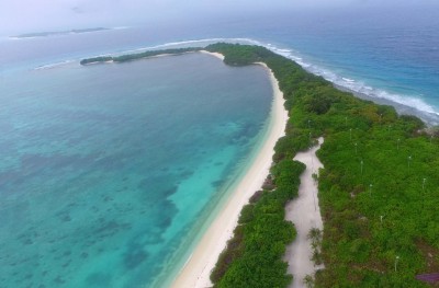 އުލިގަމު ޕްރޮފައިލް