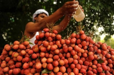 އިންޑިއާ އިން ކުޑަކުދިން މަރުވީ ހުސްބަނޑާ ހުރެ ލައިޗީ ކައިގެން