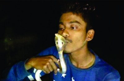 ހަރުފަޔަށް ބޮސް ދެނިކޮށް ވިހަލައިގެން މަރުވެއްޖެ