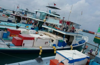 ގެއްލުނީކީ ނޫން، މަސް އައިނަކާ ޖެހިގެން ބޭރަށް ދެވުނީ: ކެޔޮޅު