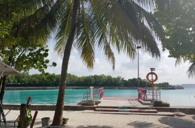 އާއްމުންނަށް ދަތުރު ދެވޭ ގޮތަށް ގަލުފަޅު ތަރައްގީކުރަނީ