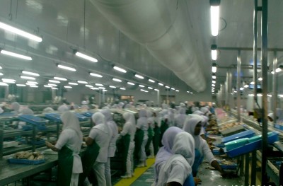 ރިޕޯޓް: މިފްކޯއަށް އަލުން ހިންދެމިލެވޭނެތަ؟