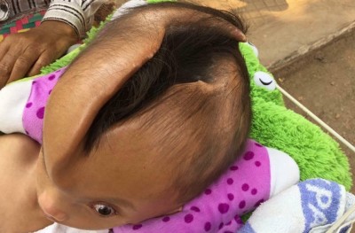 ކުއްޖެއްގެ ބޯ ދެފަޅިވަނީ