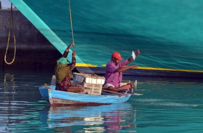 މިހިރީ ފ. ގައި، ވިއްކާލަން އުޅޭހެން ހީ ވެސް ނުވޭ!