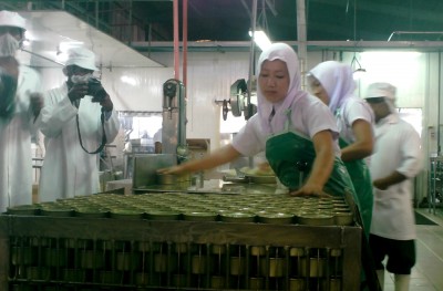 ރިޕޯޓް: މިފްކޯއަށް އަލުން ހިންދެމިލެވޭނެތަ؟