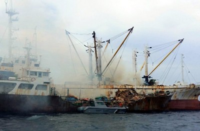 ރިޕޯޓް: މިފްކޯއަށް އަލުން ހިންދެމިލެވޭނެތަ؟