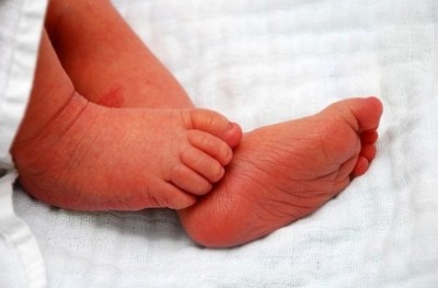 ވަޅުލާފައި އޮތް ކުއްޖަކު މަރު ނުވަނީސް ސަލާމަތްކޮށްފި