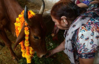 ގެރި ވަގަށް ނަގަން އުޅުނު ކަމަށް ބުނެ އިންޑިއާ ދެ މުސްލިމަކު މަރާލައިފި