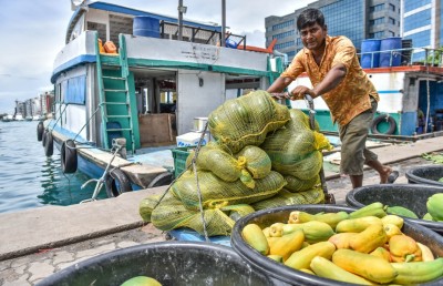 މިރުސް ކިލޯއެއްގެ އަގު 700ރ. އަށް އުފުލިއްޖެ