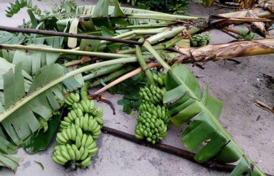 އުލިގަމު މީހުން ކުރިން ތަޖުރިބާ ނުކުރާވަރުގެ ވިއްސާރައެއް