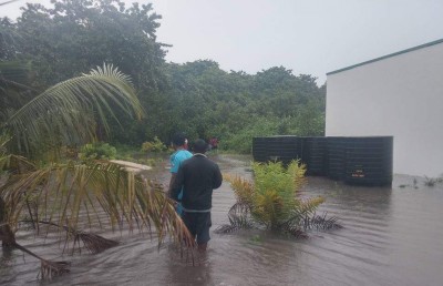 އުލިގަމު މީހުން ކުރިން ތަޖުރިބާ ނުކުރާވަރުގެ ވިއްސާރައެއް