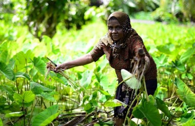 ފުވައްމުލަކުގެ އަންހެނުންނަށް ތުނޑުކުނާ ވިޔަން ދަސްކޮށްދެނީ