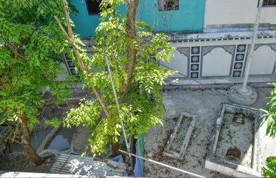 އަލިރަސްގެފާނު ޒިޔާރަތް ބަންދުކޮށް، ކޮންނަން ފަށައިފި