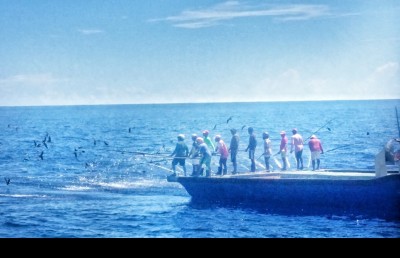 މަސްވެރިއެއްގެ އާމްދަނީ، ފަސް މަސް، ހަތަރު ލައްކަ ރުފިޔާ!