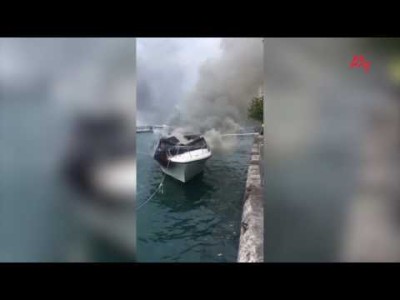 ލޯންޗުގައި ރޯވެ ހަތަރު މީހަކު ފިހުނު