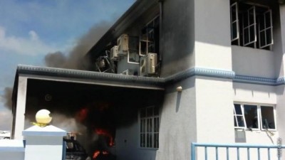 ތިނަދޫގައި ހުޅުޖެހުން:
ކުއްޖެއްގެ ދިފާއުގައި ހެކިބަސްދީފި