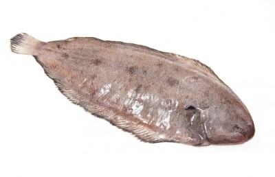 ކަރު ތެރެއިން މަހެއް ނަގައި ފުރާނަ ސަލާމަތްކޮށްފި